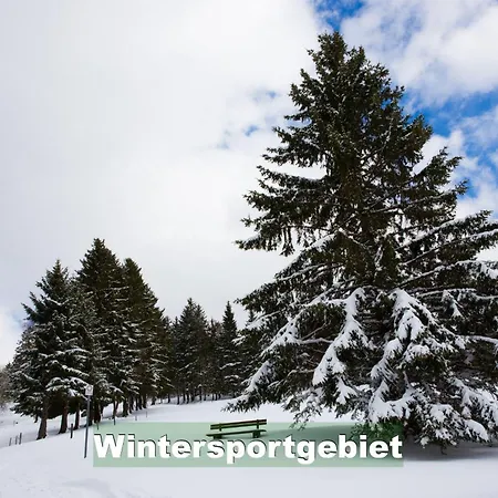 アパート Ferienwohnung-im-scheuermatthof-todtnauberg-feldberg-an-die-skipiste-fuer-8-personen