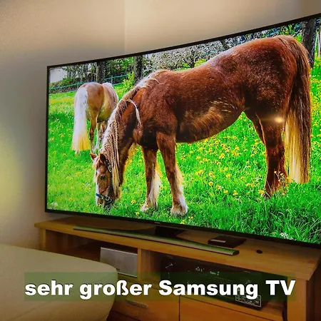 アパート Ferienwohnung-im-scheuermatthof-todtnauberg-feldberg-an-die-skipiste-fuer-8-personen *