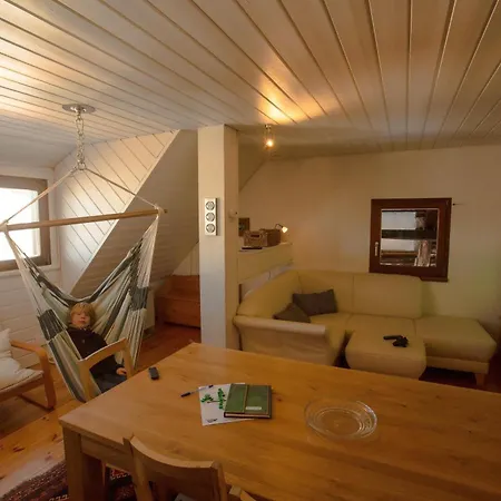 Ferienwohnung-im-scheuermatthof-todtnauberg-feldberg-an-die-skipiste-fuer-8-personen トートナウベルク