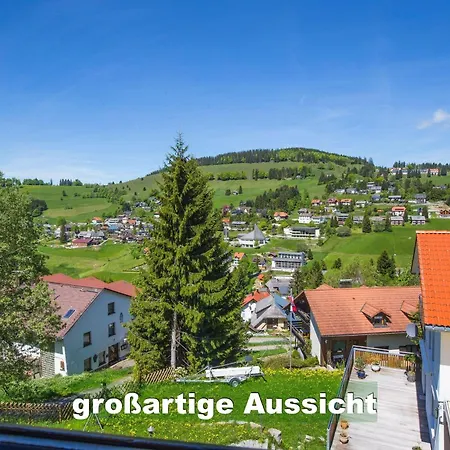 アパート Ferienwohnung-im-scheuermatthof-todtnauberg-feldberg-an-die-skipiste-fuer-8-personen トートナウベルク