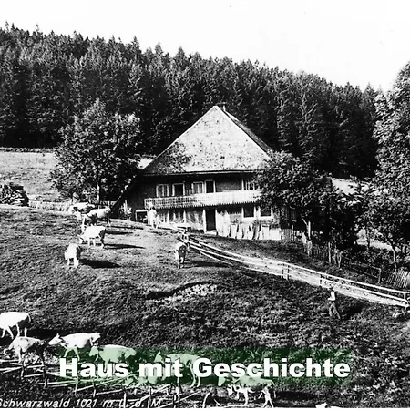 Ferienwohnung-im-scheuermatthof-todtnauberg-feldberg-an-die-skipiste-fuer-8-personen