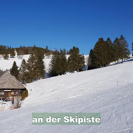 アパート Ferienwohnung-im-scheuermatthof-todtnauberg-feldberg-an-die-skipiste-fuer-8-personen *