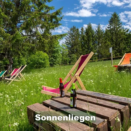 Ferienwohnung-im-scheuermatthof-todtnauberg-feldberg-an-die-skipiste-fuer-8-personen